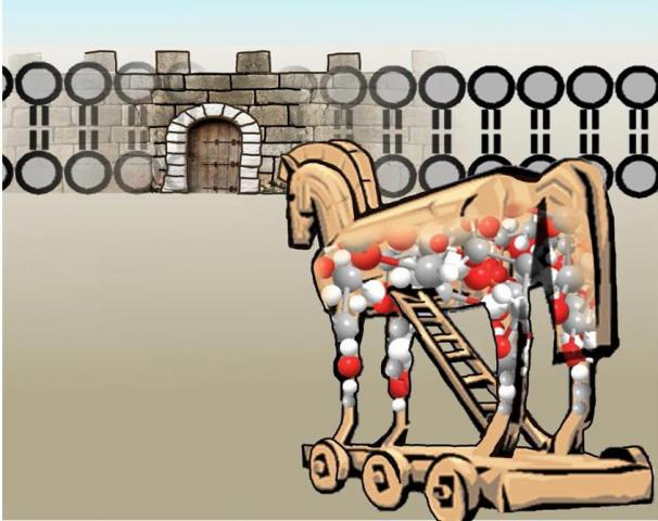 caballo troya 3.jpg