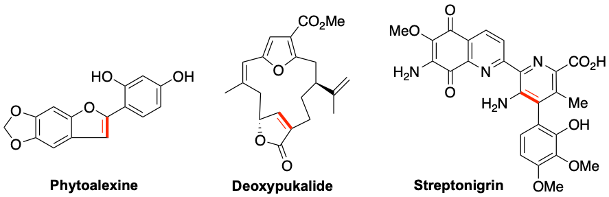 Imagen 12.png