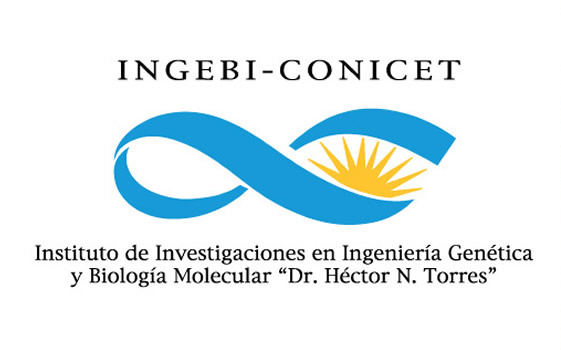 ingebi_final.jpg